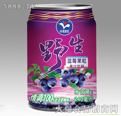 СҰݮ֭240ml