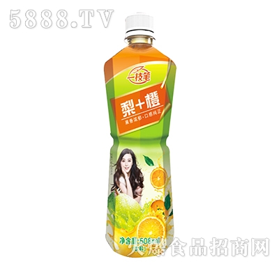 һ֦+508ml