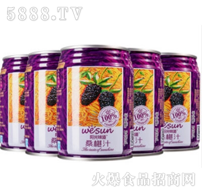 ζɣ֭245mL