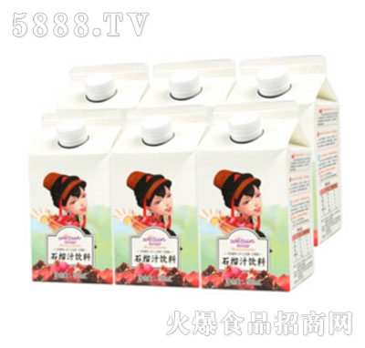 ζʯ֭500ml