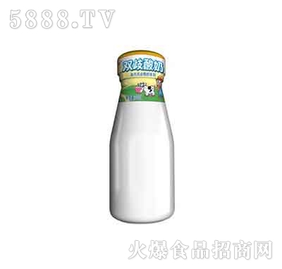 ˫