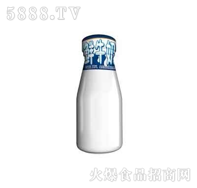 ţ