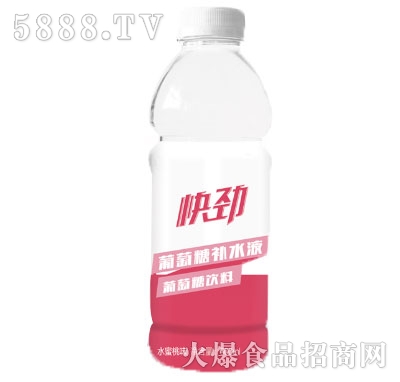 쾢ǲˮҺˮζ600ml