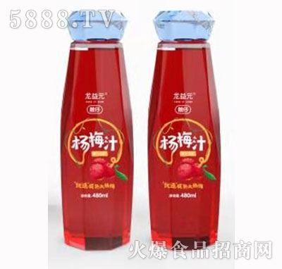 Ԫ÷֭480ml