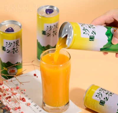 ɹɳĮ֮ɳ֭װ֭240ml