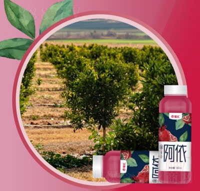 һ㰢ʯ֭֭ϰ칫Ʒ300ml
