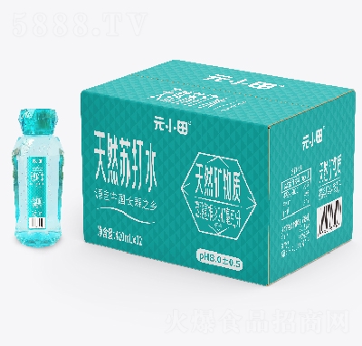 ԪСȻմˮ420ml12