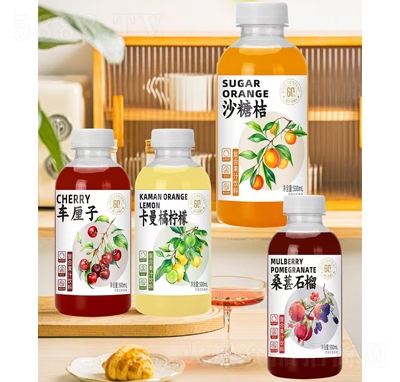˳Ϲ֭500ml