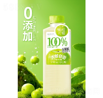 ʵӴɹ֭͸֭500ml