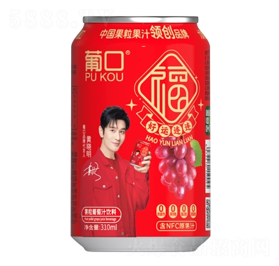 Ͽڹ֭310ml