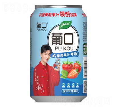 Ͽڹ֭ݮ֭310ml