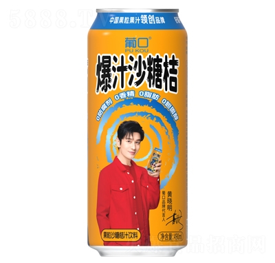Ͽڹɳǽ֭490ml