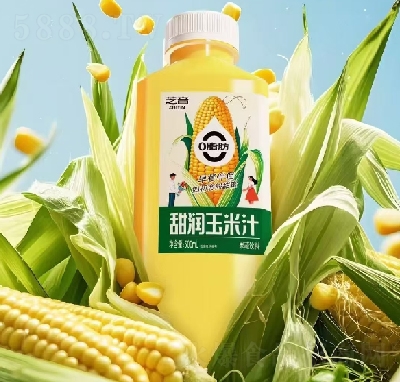 OEM֥֭500ml