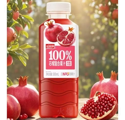 Դ100%ʯ񸴺Ϲ֭500ml