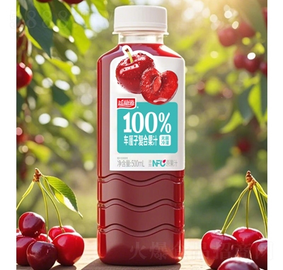 Դ100%ӸϹ֭500ml