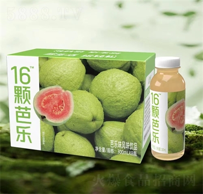 ζϰζ300ml8