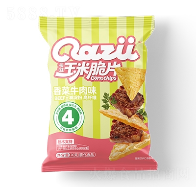 �������״�Ƭ���ţ��ζ