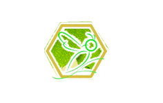 ũ