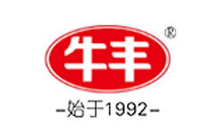 ţ